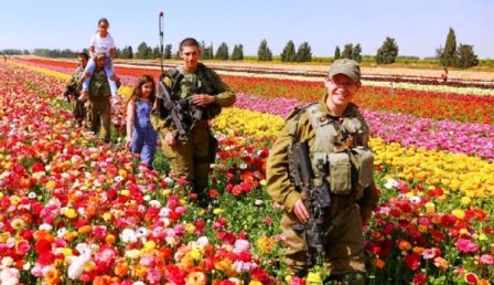 israel-desierto-florido